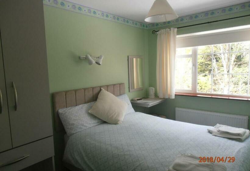 スタンダードルーム, Larkfield House B&b, Ballycasheen Kerry V93 Wd51