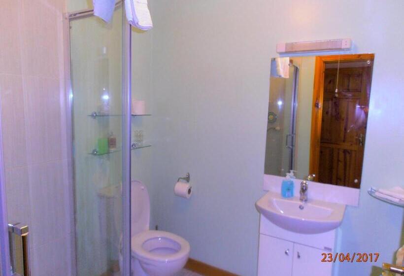 スタンダードルーム, Larkfield House B&b, Ballycasheen Kerry V93 Wd51