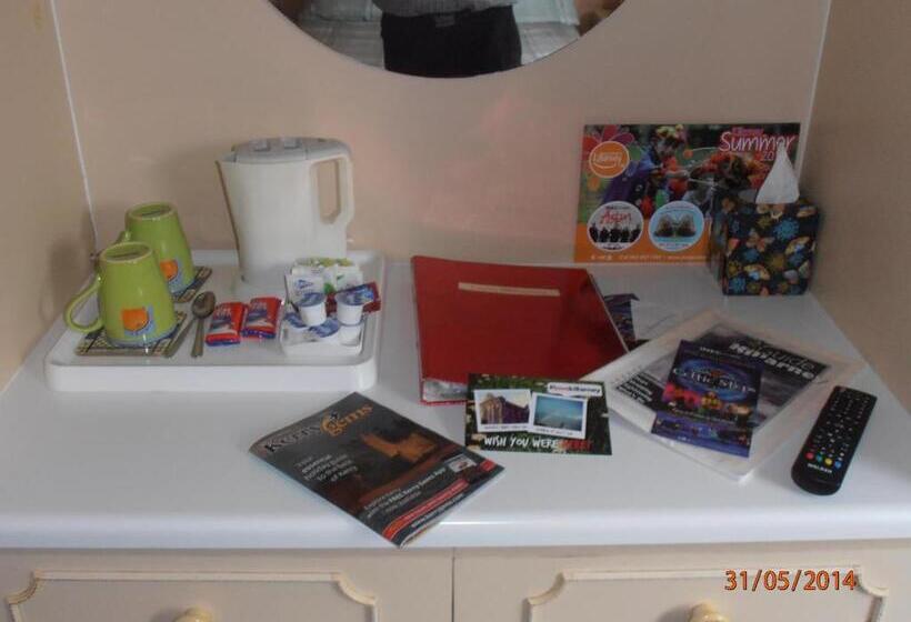 スタンダードルーム, Larkfield House B&b, Ballycasheen Kerry V93 Wd51