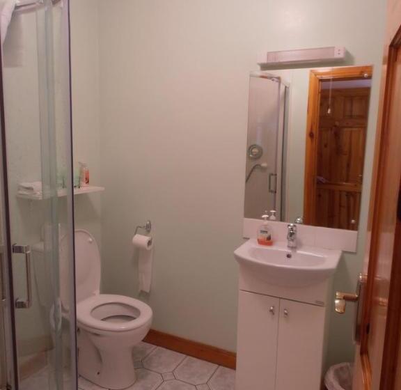 スタンダードルーム, Larkfield House B&b, Ballycasheen Kerry V93 Wd51