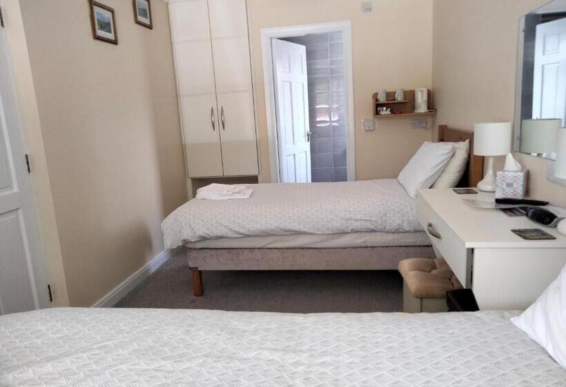 スタンダードルーム, Larkfield House B&b, Ballycasheen Kerry V93 Wd51