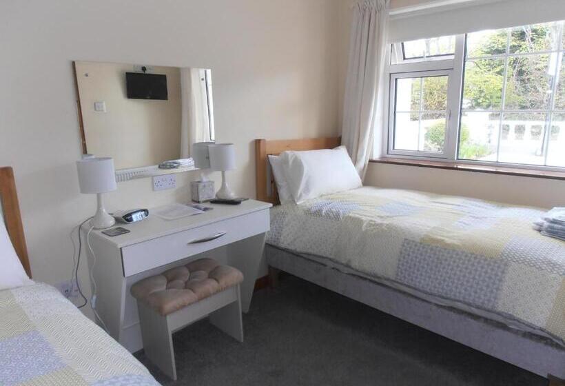 スタンダードルーム, Larkfield House B&b, Ballycasheen Kerry V93 Wd51