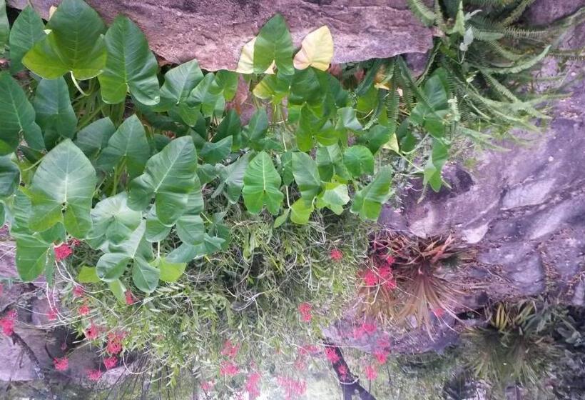 家庭间, 5th Seasons Guesthouse