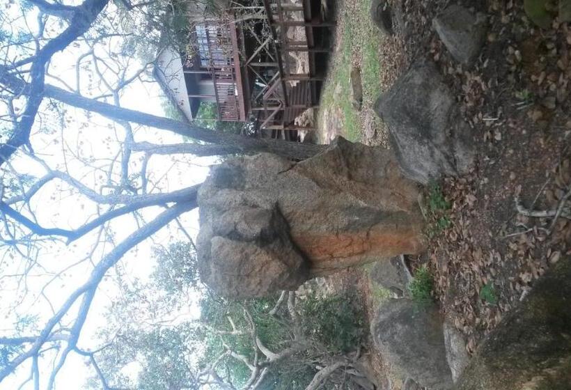 豪华房间, 5th Seasons Guesthouse