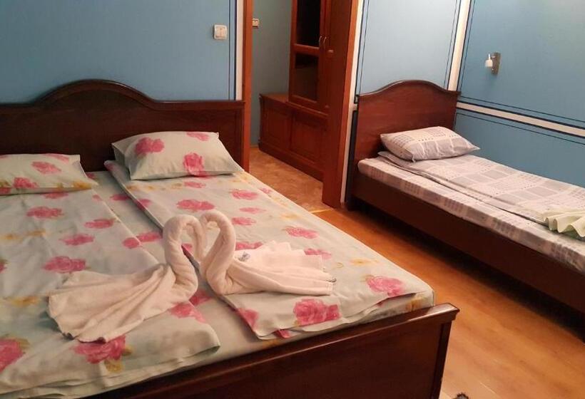 带露台的标准房间, Denis Guest House