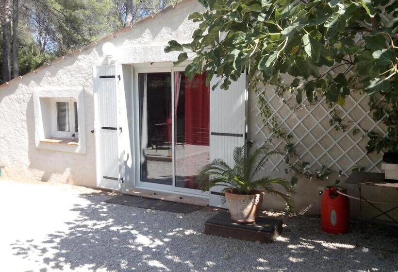 Студио Стандарт с Террасой, Chez Isabelle Et Guy B&b