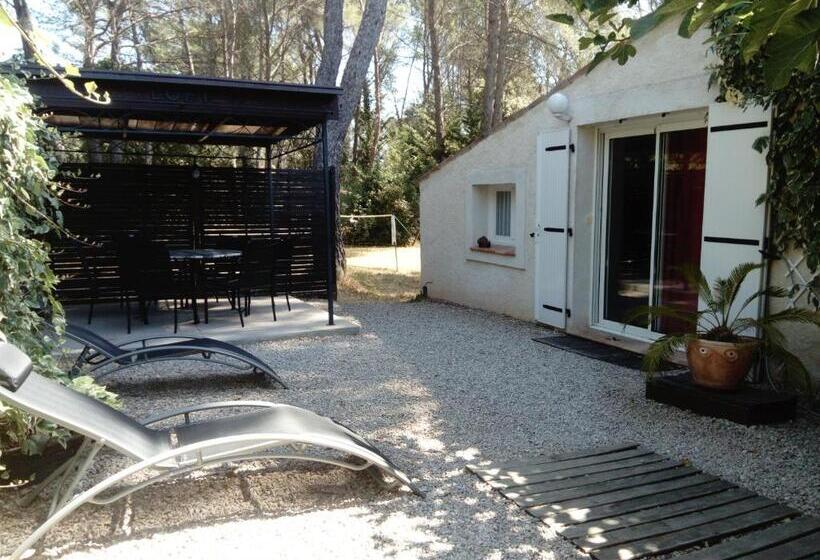 テラス付きスタンダードワンルーム, Chez Isabelle Et Guy B&b