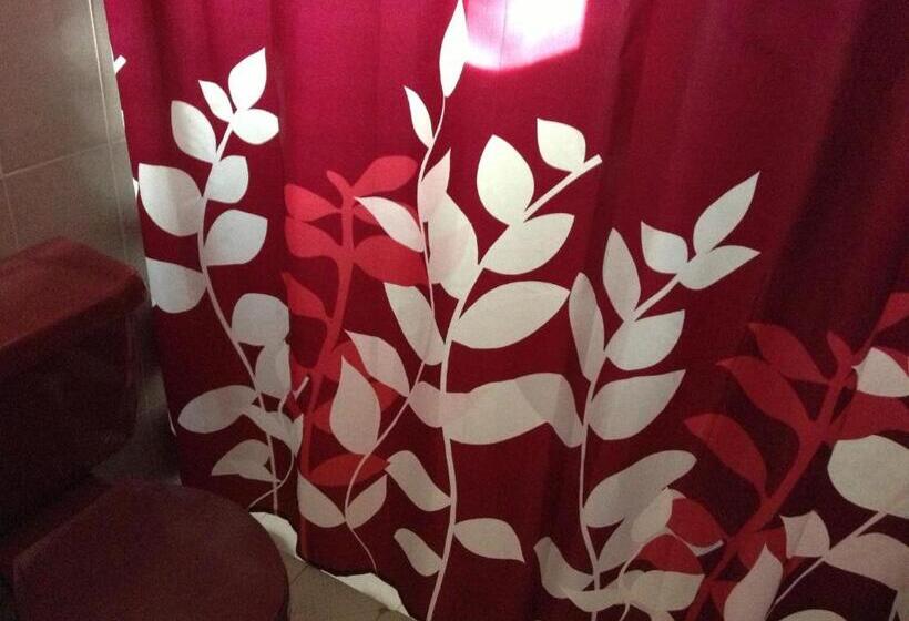 标准间, Tecozautla