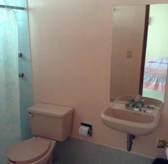 标准三人间, Tecozautla