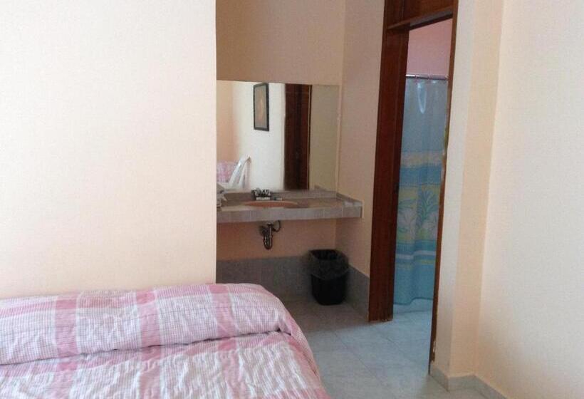 家庭间, Tecozautla