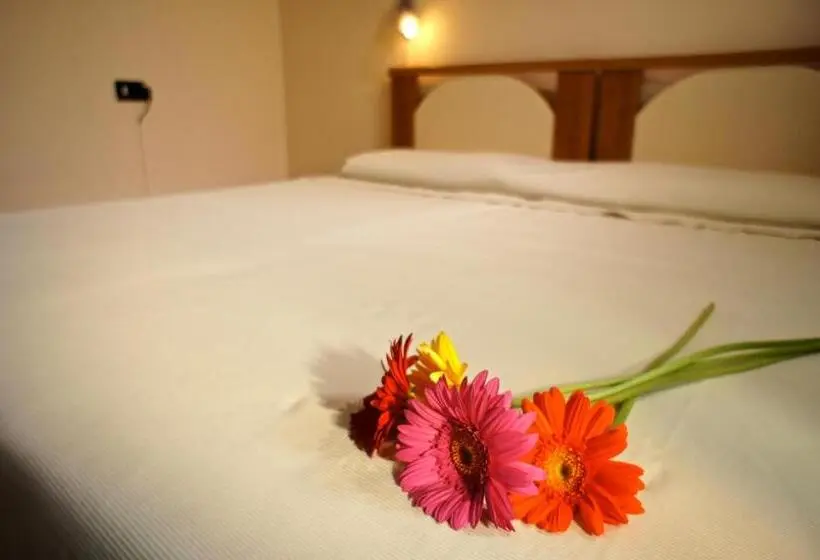 استودیوی استاندارد, Bed And Breakfast L Annunziata