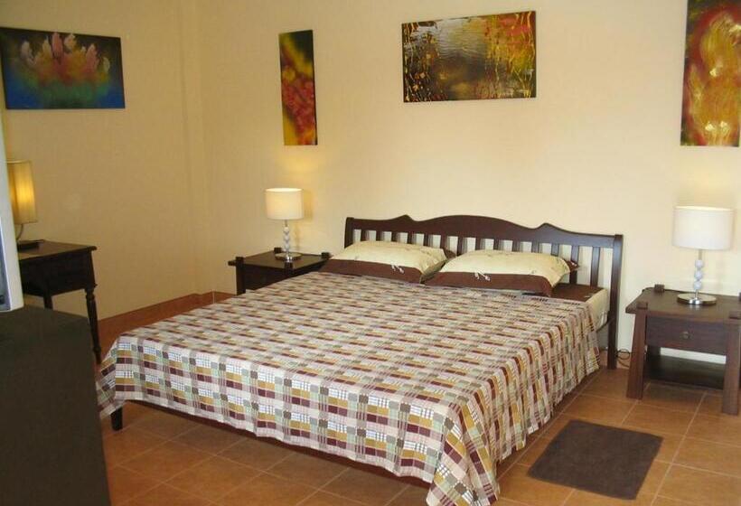 标准平房, Lonops Gay Paradise