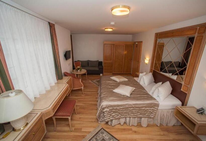 带阳台的豪华间, Villa Katharina