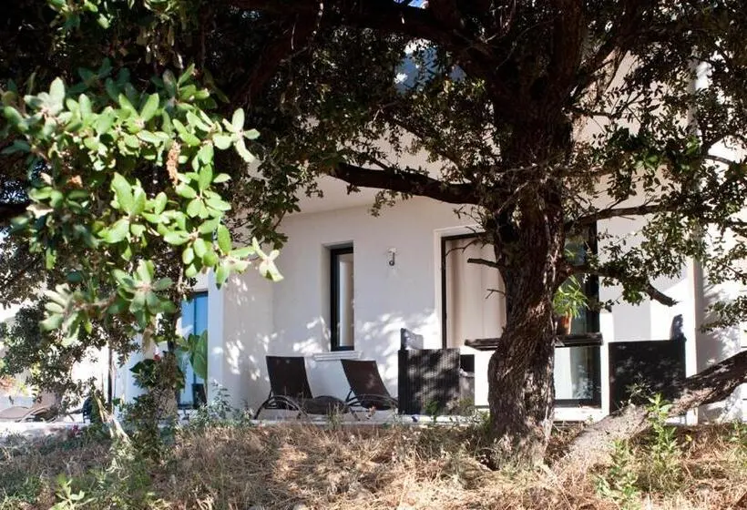 Habitación Estándar Vista Mar con Terraza, Villa Les Restanques