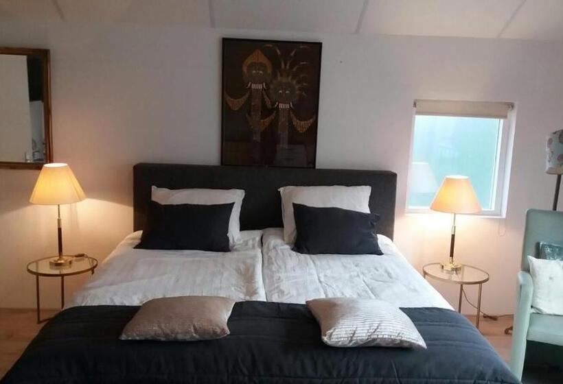 デラックススタジオ, Villa  T Haasduin