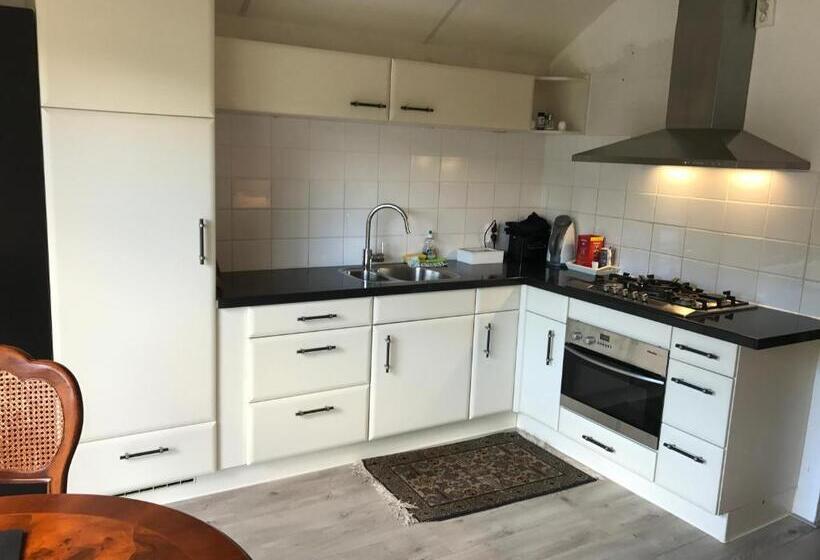 デラックススタジオ, Villa  T Haasduin