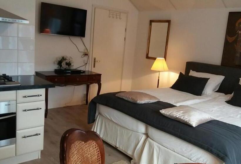 デラックススタジオ, Villa  T Haasduin