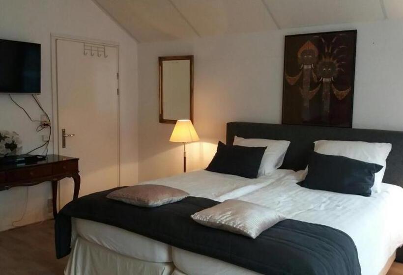 デラックススタジオ, Villa  T Haasduin