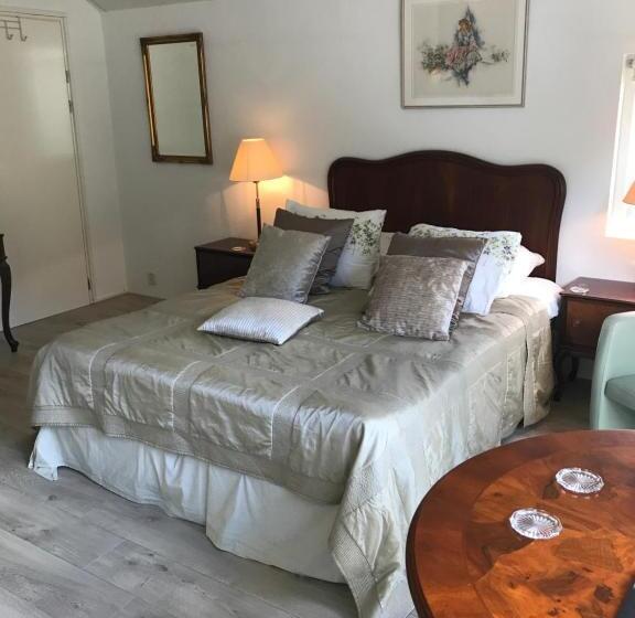 デラックススタジオ, Villa  T Haasduin