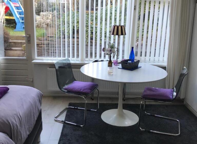 テラス付きスタンダードワンルーム, Villa  T Haasduin