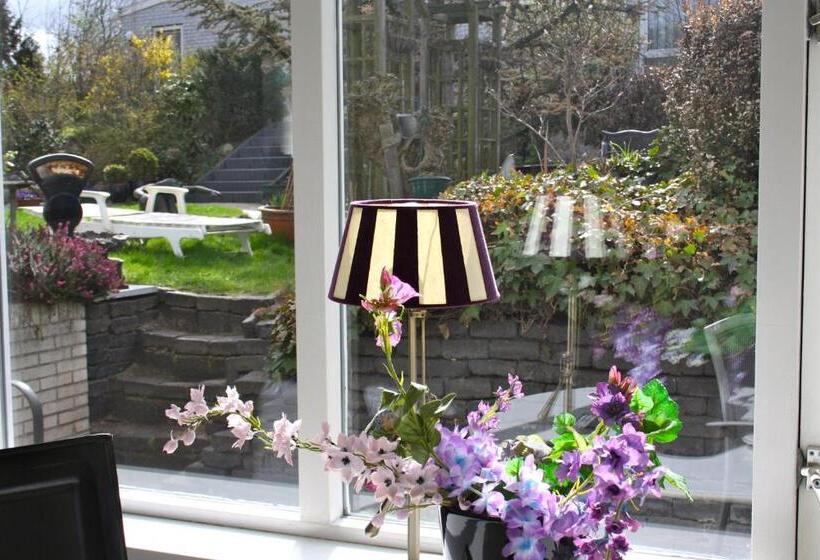 テラス付きスタンダードワンルーム, Villa  T Haasduin