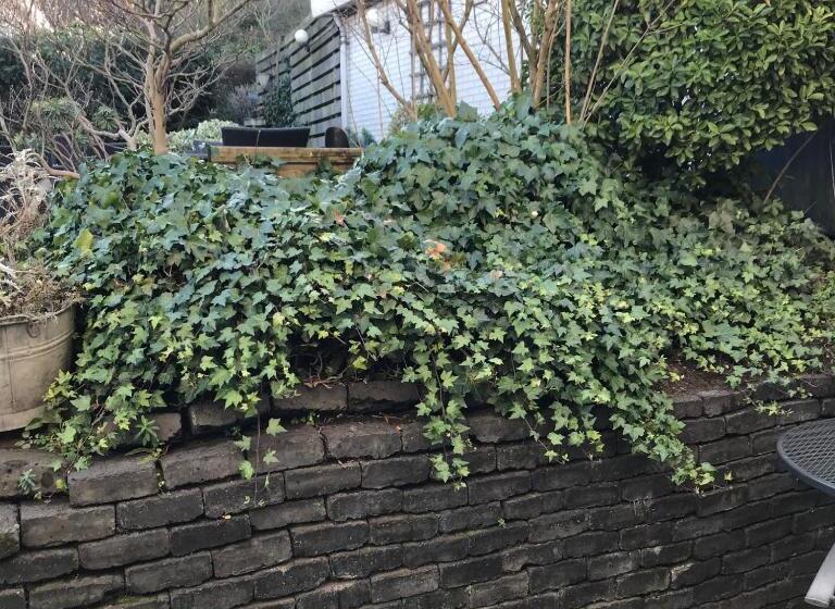 テラス付きスタンダードワンルーム, Villa  T Haasduin