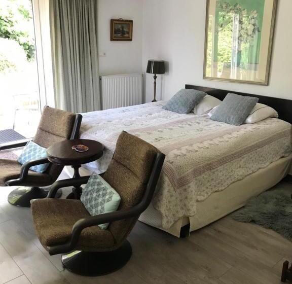 디럭스 룸 킹사이즈 침대, Villa  T Haasduin