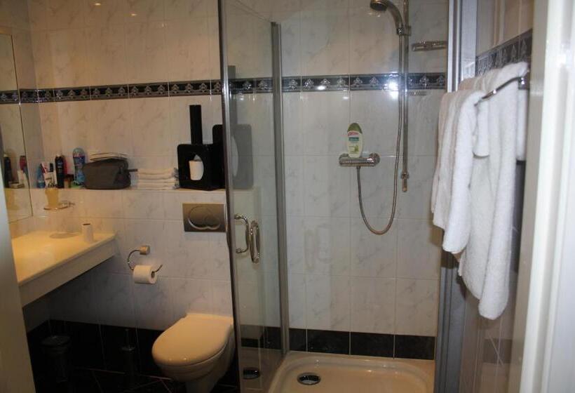 テラス付スーペリアルーム, Villa  T Haasduin