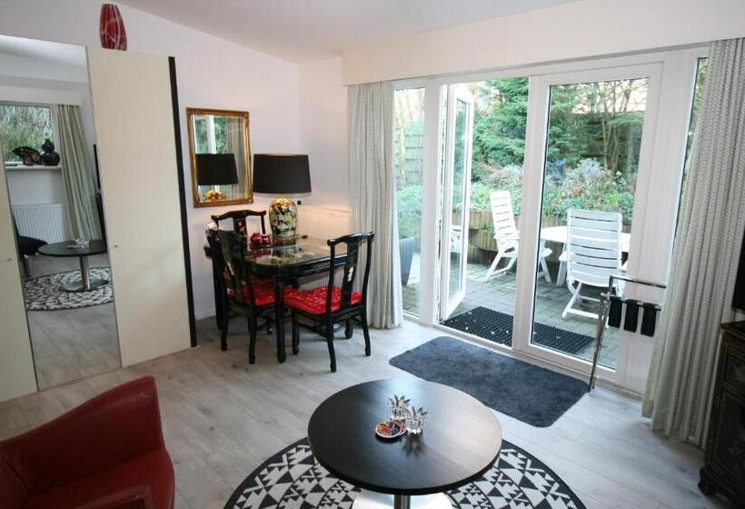 テラス付きスタンダードルーム, Villa  T Haasduin