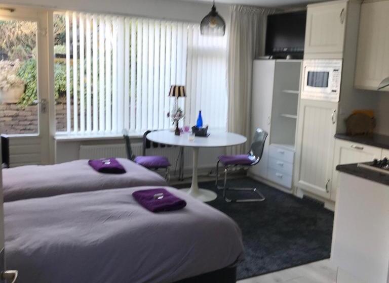 テラス付きスタンダードワンルーム, Villa  T Haasduin