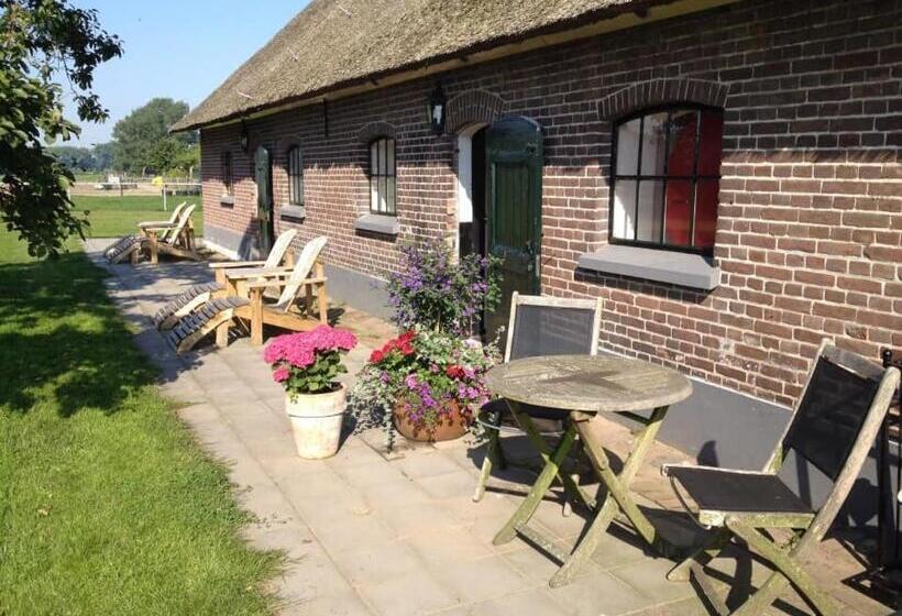 חדר סטנדרט, De Aze