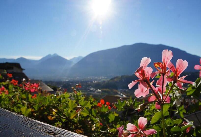 带阳台的标准单人间, Active B&b Prairerhof