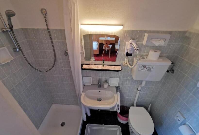 غرفة قياسية فردية مزودة بشُرفة, Active B&b Prairerhof