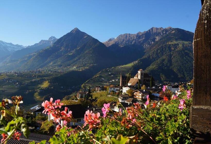 高级大房间, Active B&b Prairerhof