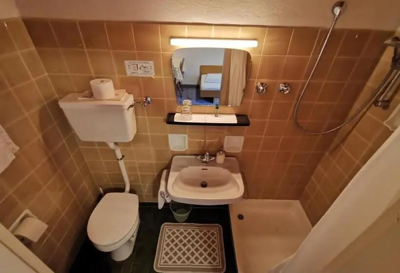 اتاق استاندارد یک نفره, Active B&b Prairerhof