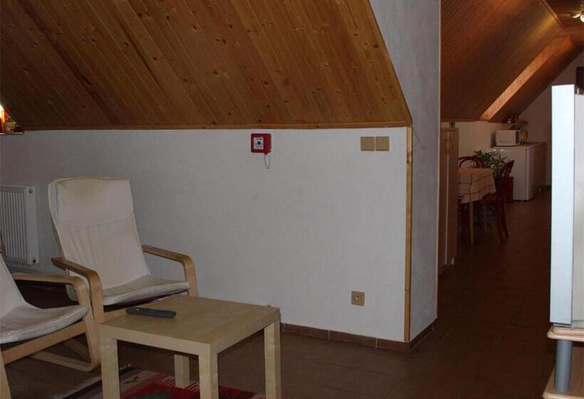 스탠다드 룸, Rodinny Penzion Kunc