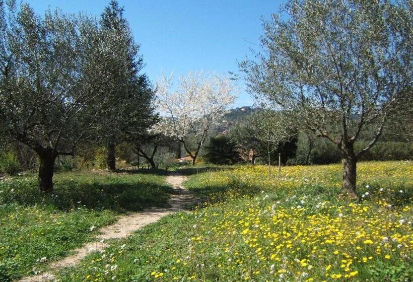 דירת חדר בקומת קרקע, La Radassière