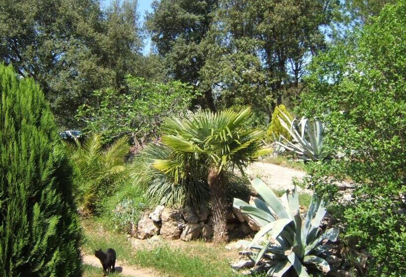 דירת חדר בקומת קרקע, La Radassière