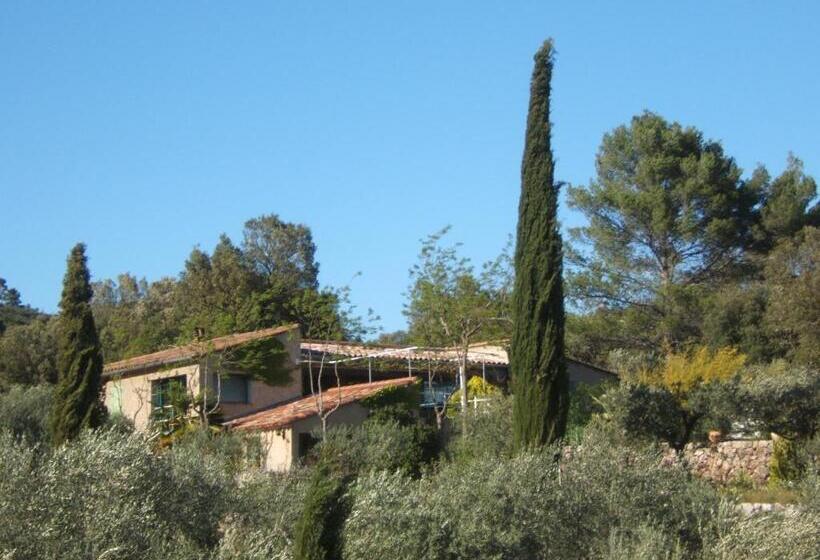 דירת חדר בקומת קרקע, La Radassière