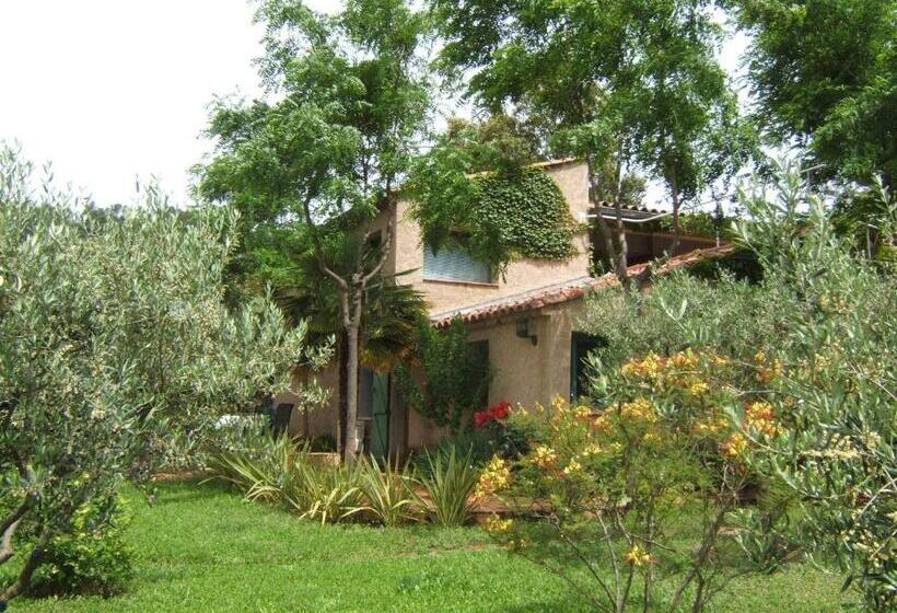 דירת חדר בקומת קרקע, La Radassière