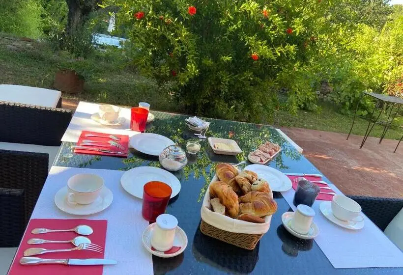 スイート, Villa Des Roses