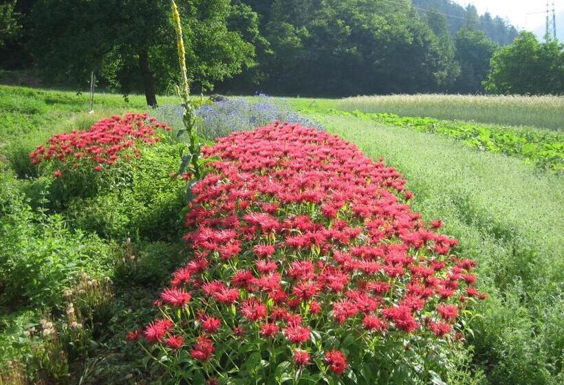 バルコニー付きスタンダードステューディオ, Klausmoarhof