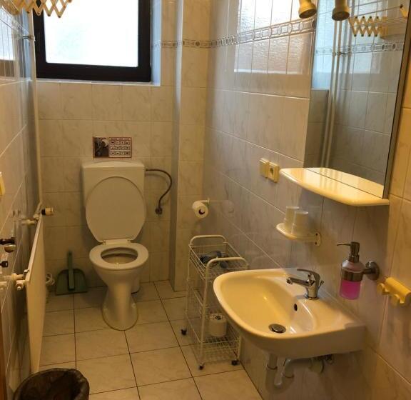 带1个卧室的带阳台的公寓, Pension Roklan