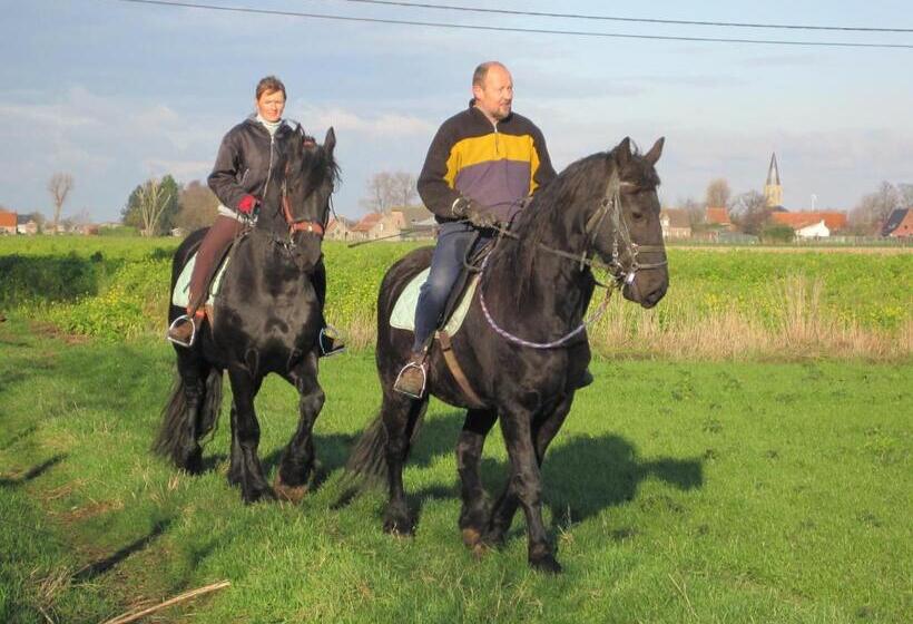 Семейный Номер Совместный Санузел, B&b Ter Castaigne