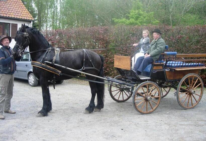 Семейный Номер, B&b Ter Castaigne