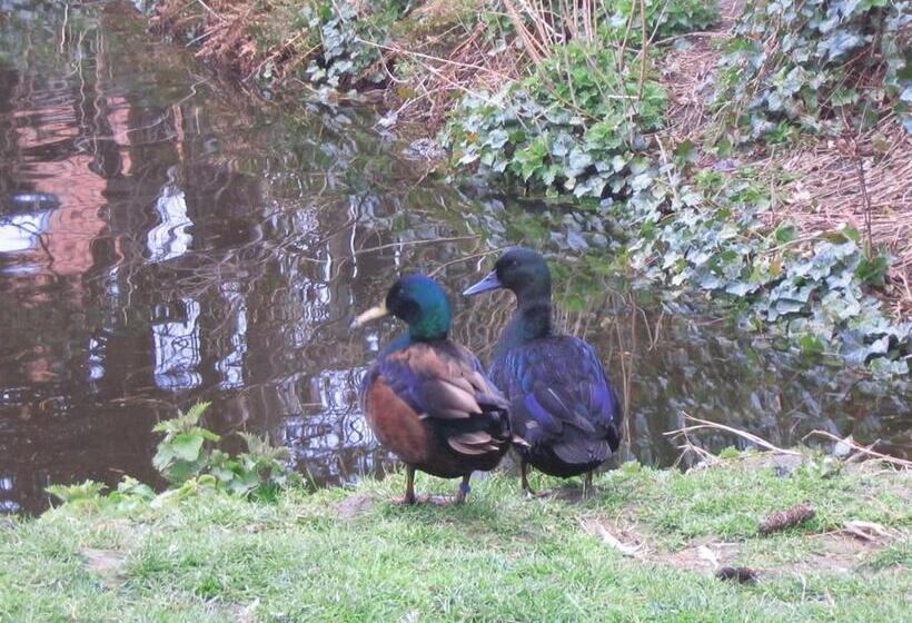 Номер Стандарт Совместная Ванная, B&b Ter Castaigne