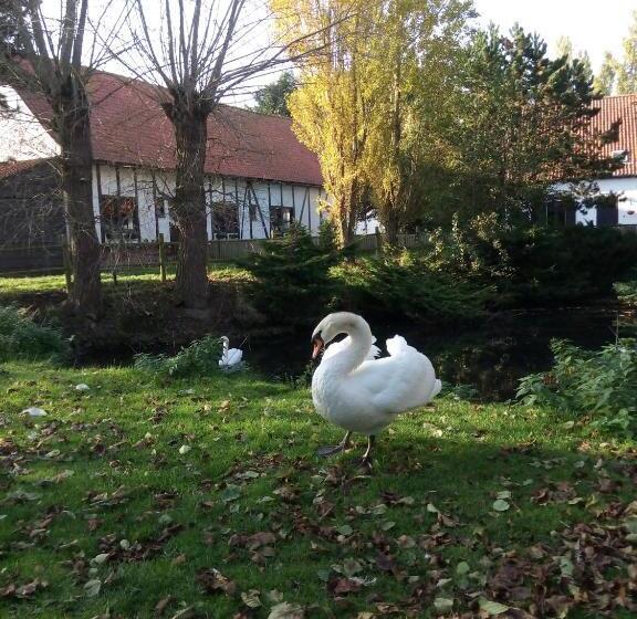 Номер Стандарт Совместная Ванная, B&b Ter Castaigne