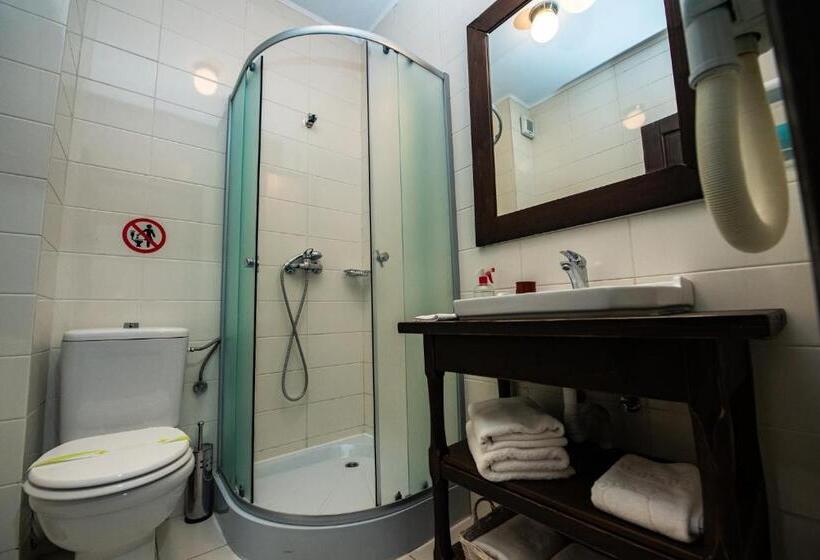 Номер Стандарт, Bucovina Lodge Pension
