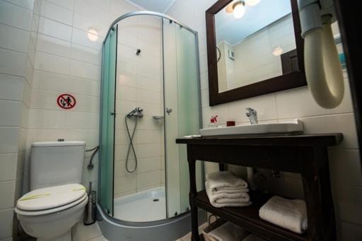 스탠다드 룸, Bucovina Lodge Pension