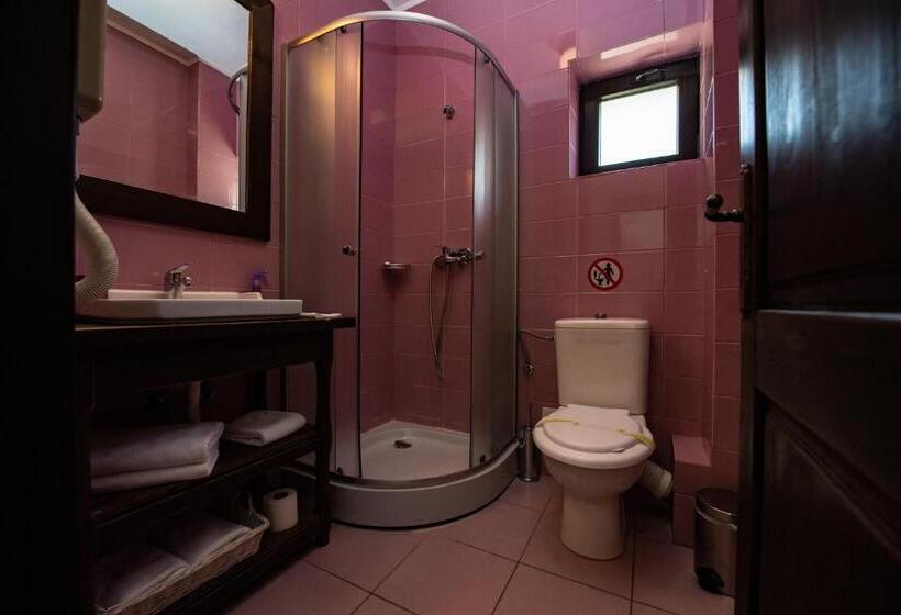 Номер Стандарт, Bucovina Lodge Pension